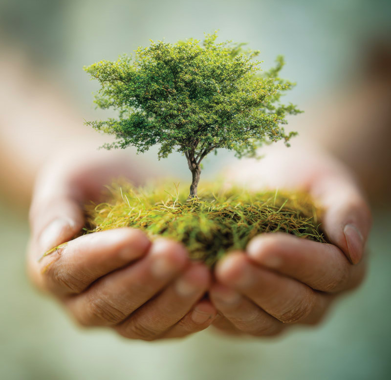 Sustainable Gas Generators for a greener future