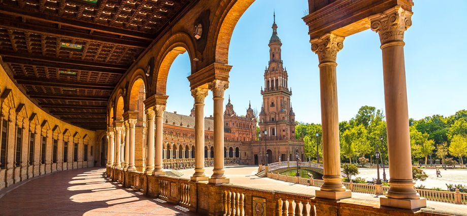 XV Simposio Hispano–Italiano de Química Orgánica (SISOC XV)